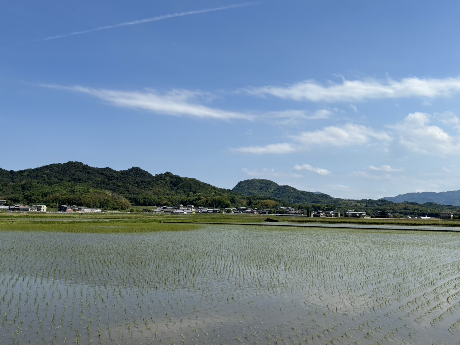 香川県さぬき市の田んぼ風景