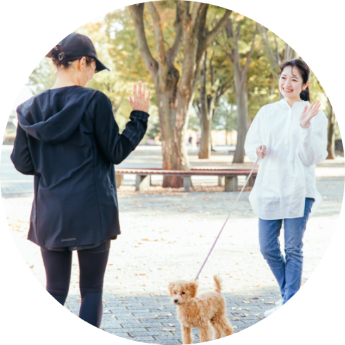 地域のつながりイメージ